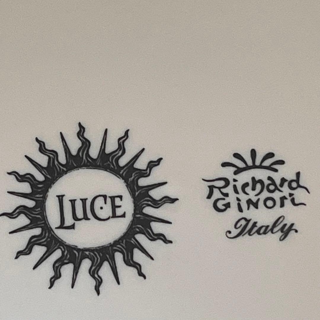 【希少品】新品　リチャードジノリ★イタリアワインLUCE★コラボ　ラージプレート