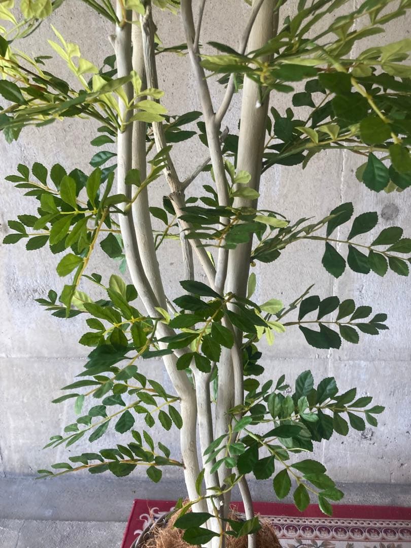 光触媒　人工観葉植物　ウォールグリーン　フェイクグリーン　トネリコ17075aj