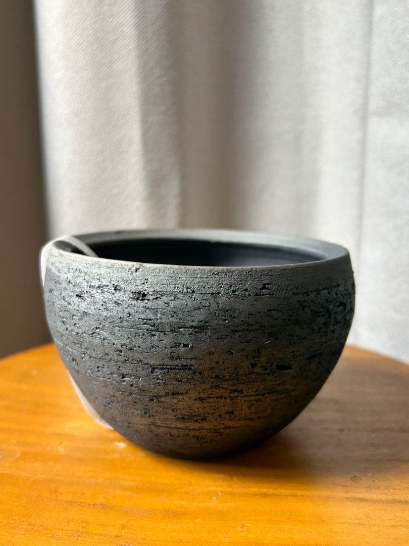 限定モデル三州みやび鉢 ピグマエア パキプスInvisible 鶴仙園KOMO