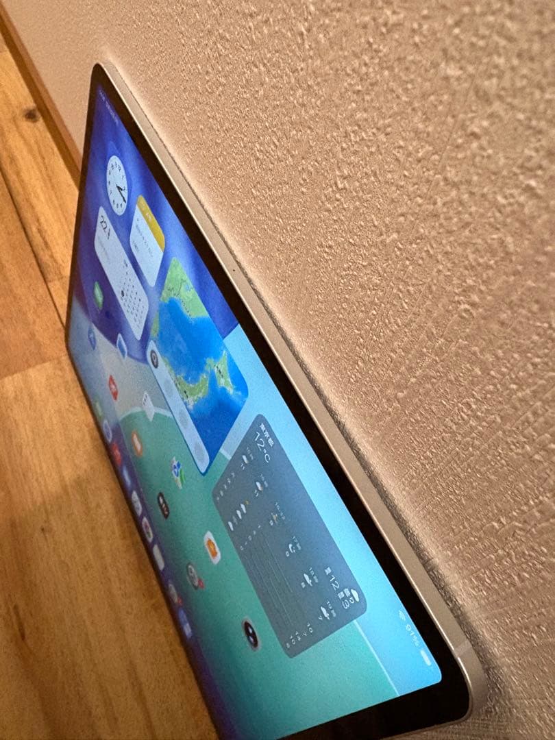 iPad Pro 12.9インチ/3世代/256GB/wifi/simフリー