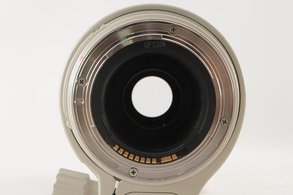 Canon キヤノン EF100-400mm F4.5-5.6L IS USM