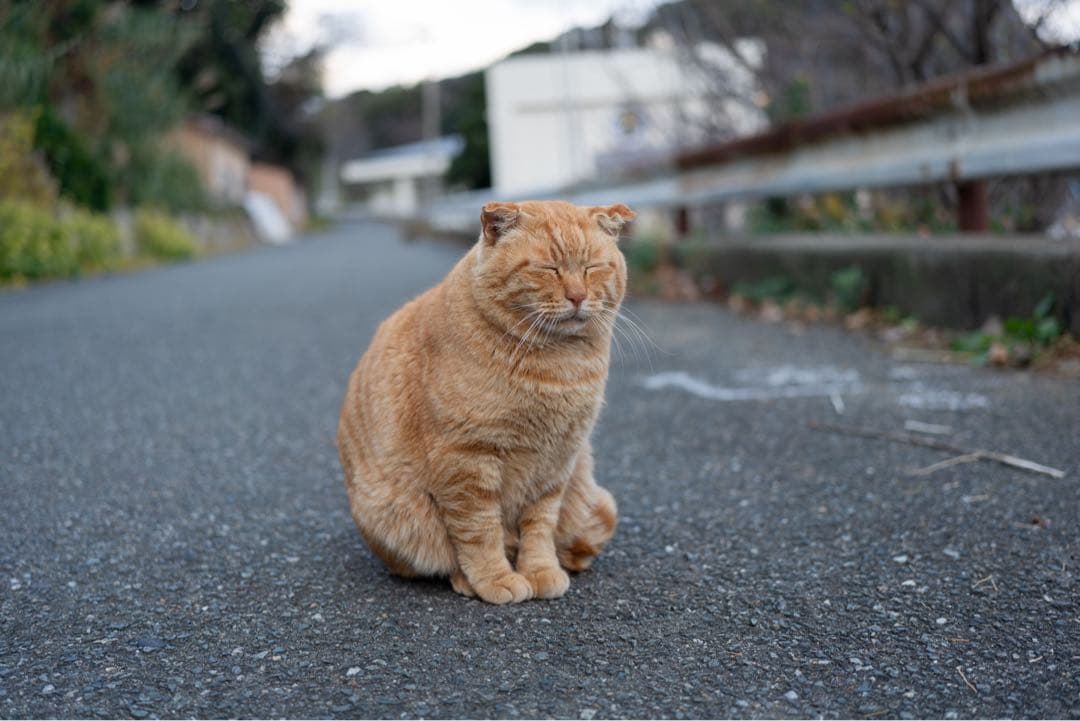 美品　SONY FE 40mm F2.5G SEL 40F25G