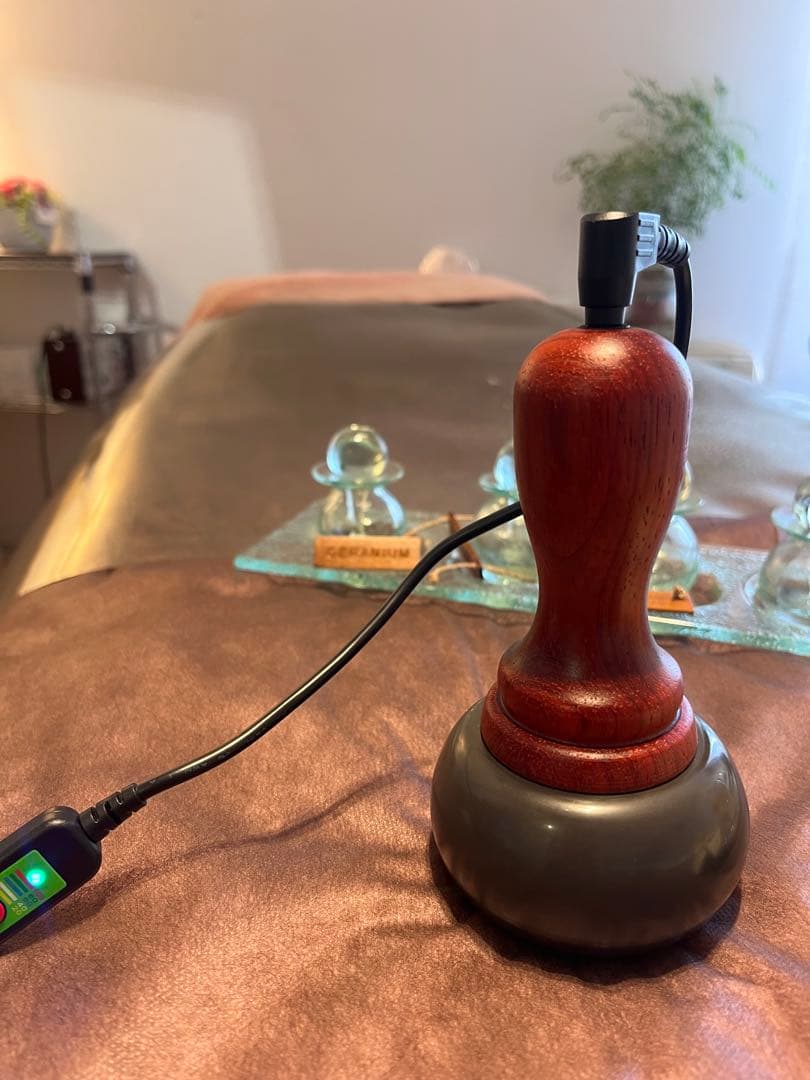 マ*ル様 ベン石温熱器　ホットストーンセラピー温石　日本でも海外でも使えるコンセ