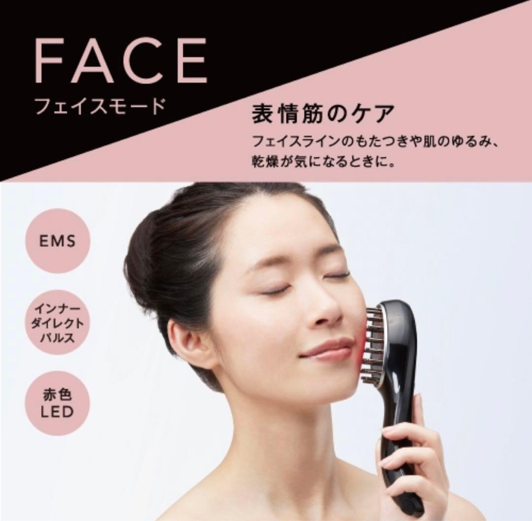 EMSリフトブラシ