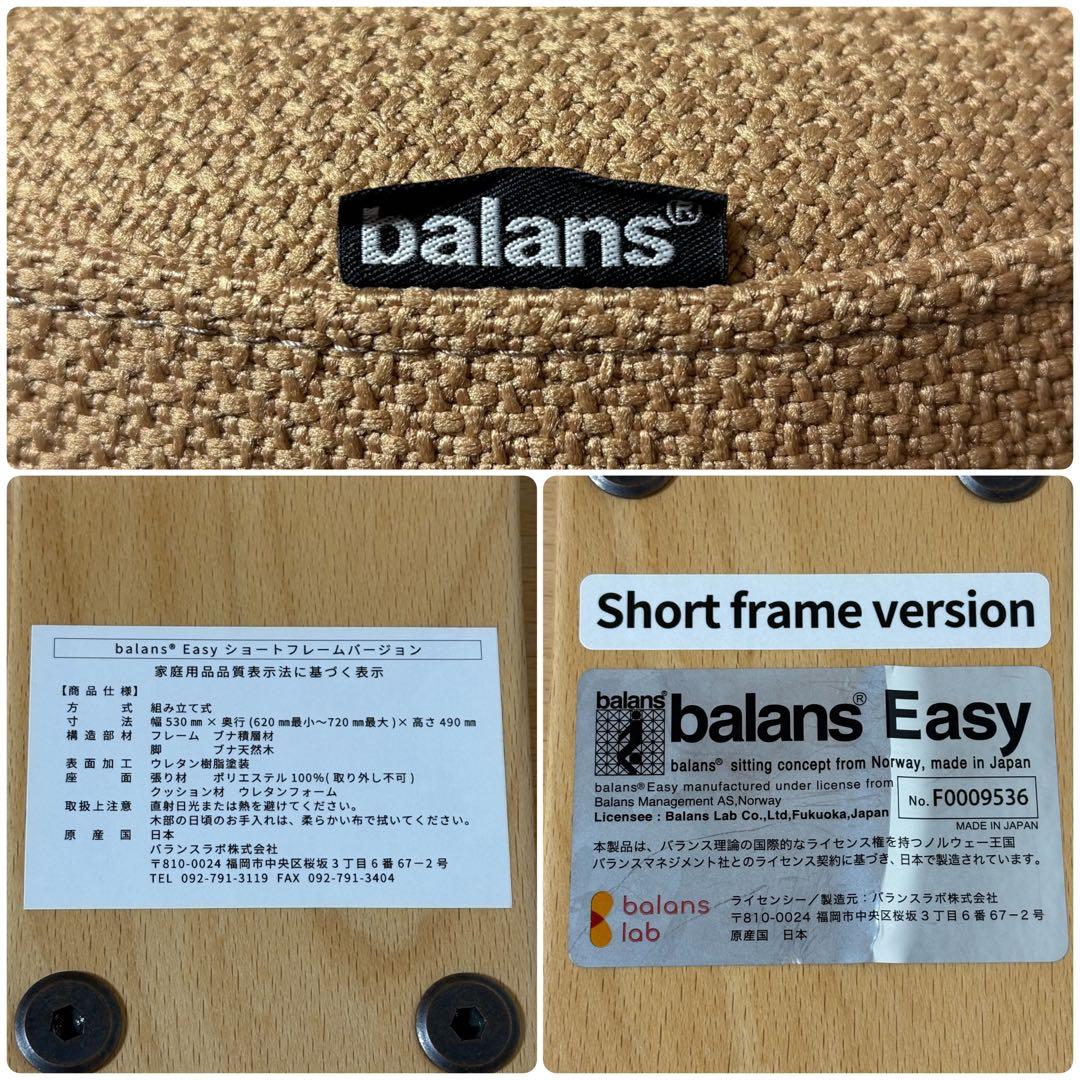 balans lab バランスラボ バランスイージー ショートフレーム
