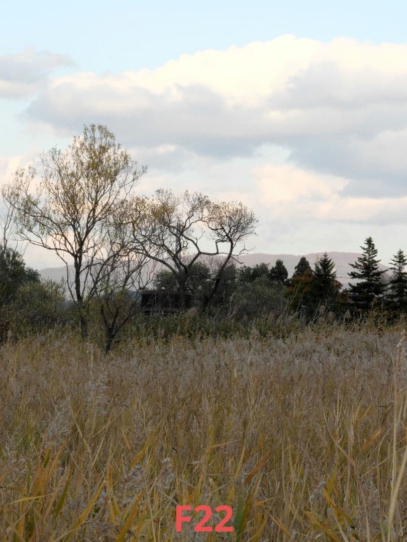 【訳あり動作品】LEICA DG VARIO-ELMARIT 12-60mm