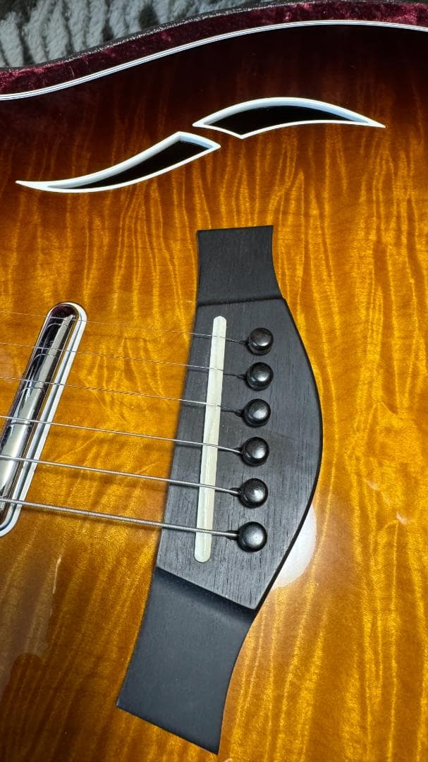 Taylor エレアコ T5 Pro TB