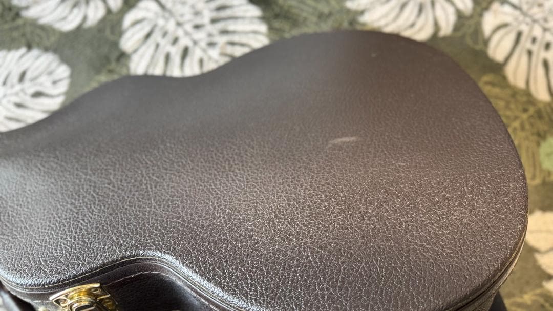 Taylor エレアコ T5 Pro TB