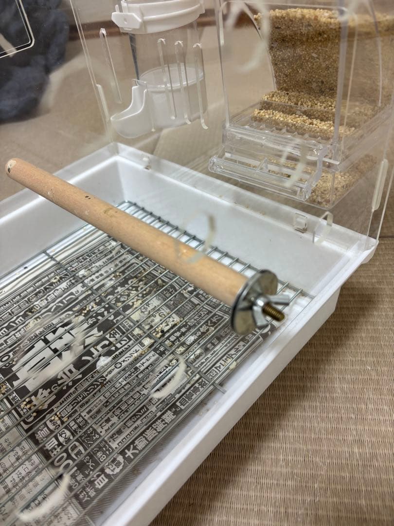 ◼︎リコ◼︎ 透明アクリル鳥かご
