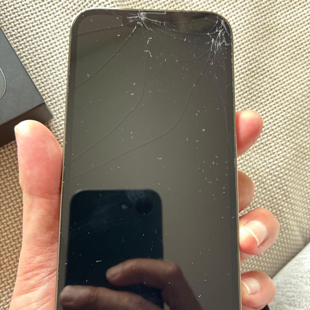 Apple iPhone 13 Pro グラファイト256GB 箱　ケーブル類