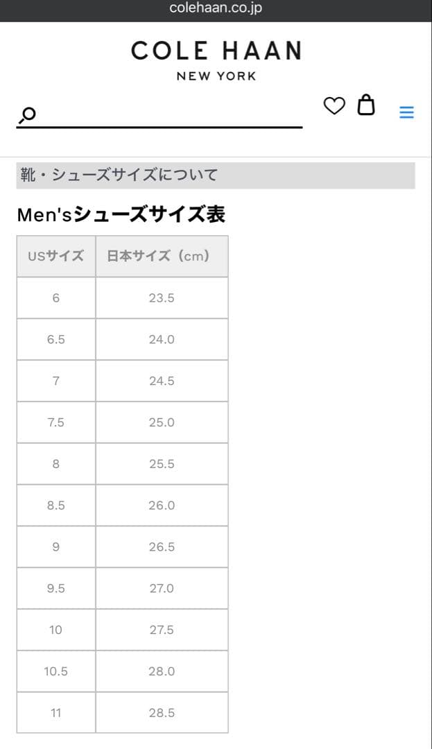 COLE HAAN GOLF シューズ グレー 収納袋付き