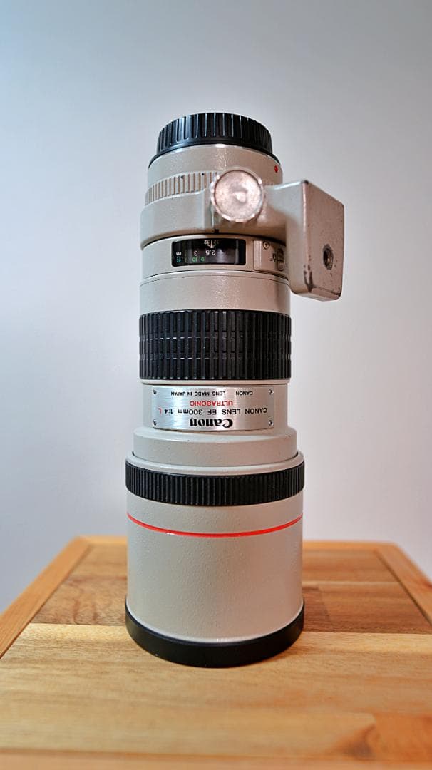 Canon EF 300mm f/4 L USM 単焦点 望遠レンズ