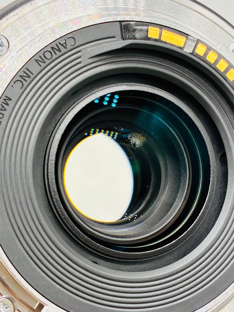 Canon EOS 6D Mark II レンズ2本セット