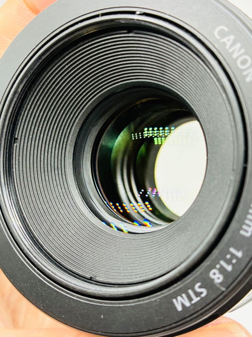 Canon EOS 6D Mark II レンズ2本セット