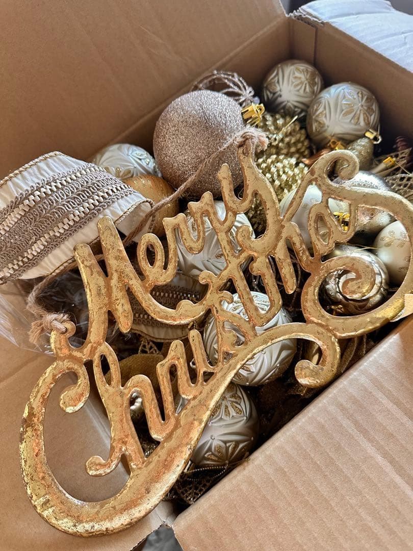 クリスマス Saya