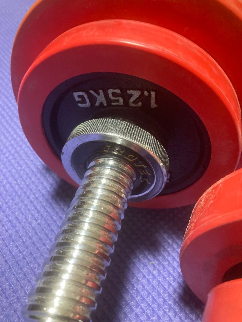 アイロテック　IROTEC ラバー付きダンベル　ダンベルプレート　20kg筋トレ