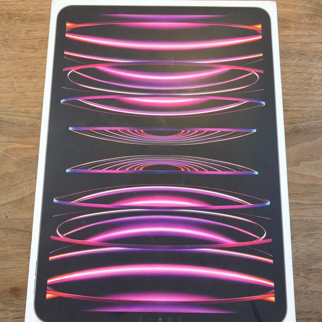 ジャンク　iPad Pro 11インチ (第4世代) 128GB スペースグレー