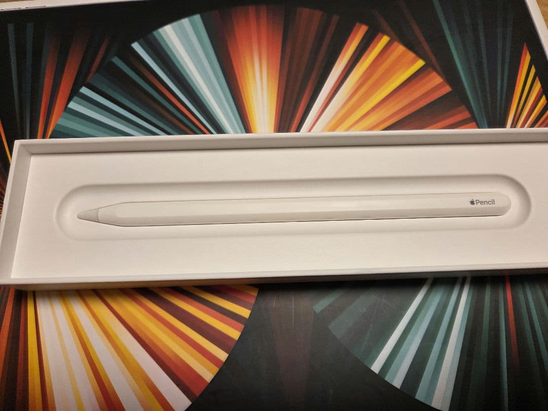 iPad Pro 12.9 スペースグレー 128GB (5世代、セルラー)