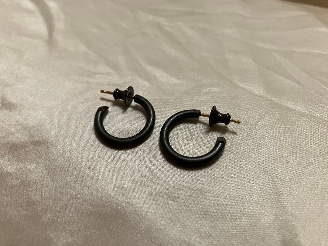 careering ピアス　301