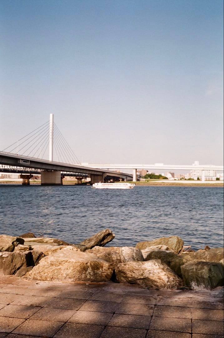 h*o様 OLYMPUS TRIP 35 コンパクトフィルムカメラ