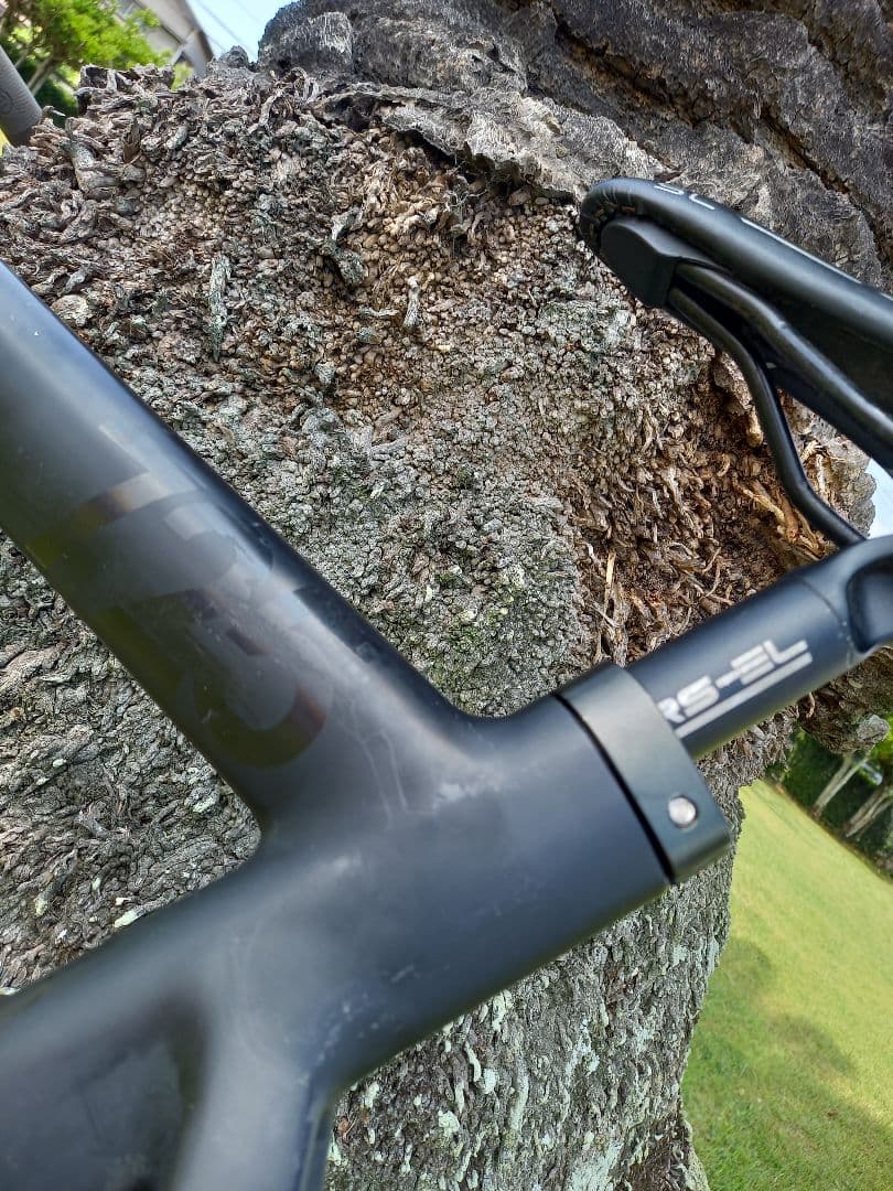 LEADER BIKES　リーダー　725　シングル　ピスト　ブラック　Mサイズ