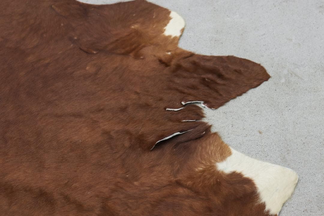 牛革 本革 カウラグ 220×197 カーペット 絨毯 敷物 大判 毛皮