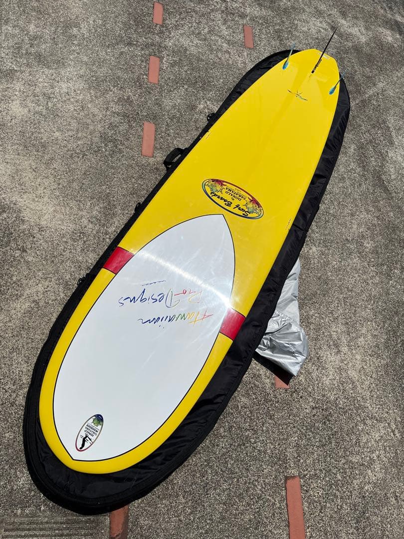 ドナルドタカヤマ　インザピンク9.3美品　フィン付き