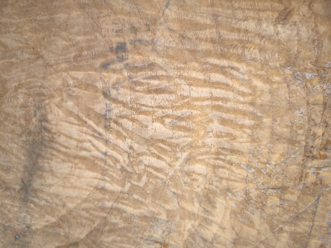 座卓　瘤　玉杢　ちゃぶ台　机　瘤杢　杢　一枚板　家具