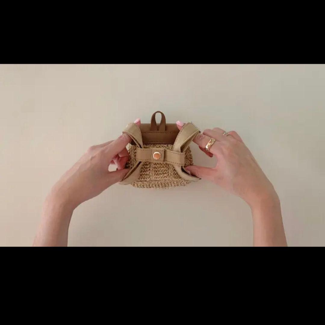 韓国犬服【papier】Raffia Work Back & Backpack