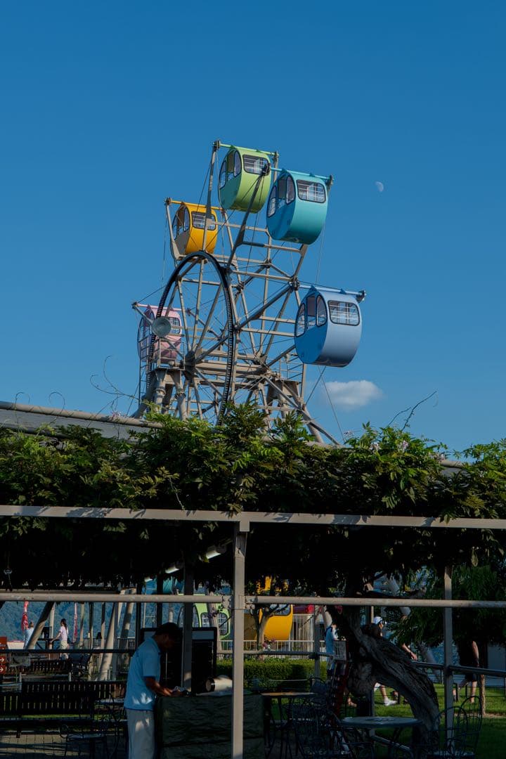 LUMIX 50mm S 1.8 並品　作例あり