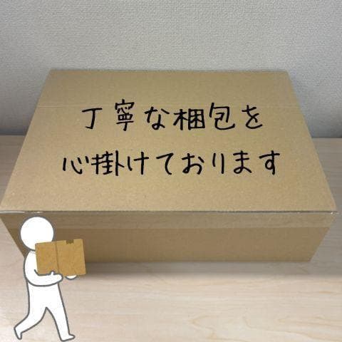 BRUNO ブルーノ オートクックポット 0.6L 豆乳メーカー スープメーカp