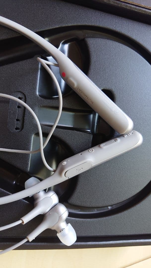 イヤホン Sony Wi-C600N