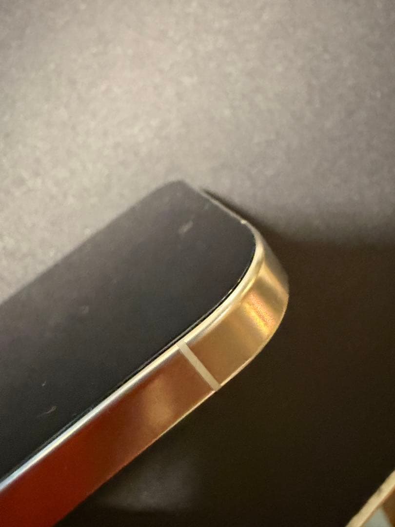 Apple iPhone 16 Pro シルバー 本体　箱は17pro