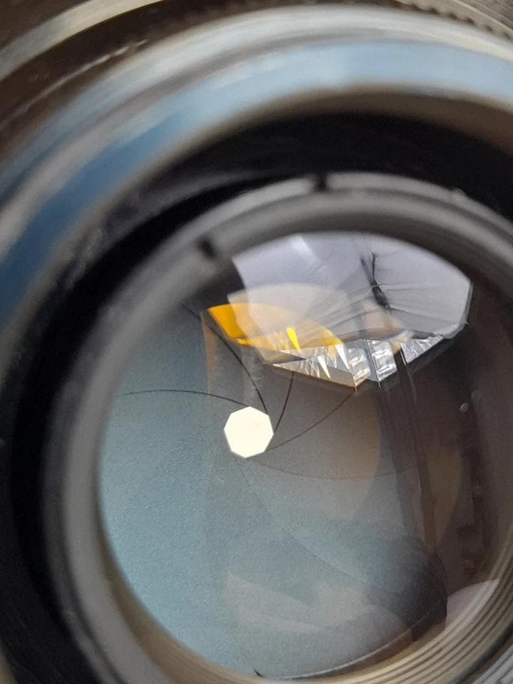 14【希少Helios 初期型ゼブラ　分解整備済みヘリオス44-2 ぐるぐるボケ