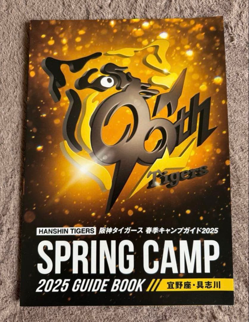 阪神タイガース 佐藤・森下選手 ブラックアイコンビ 直筆サインボール 2球セット