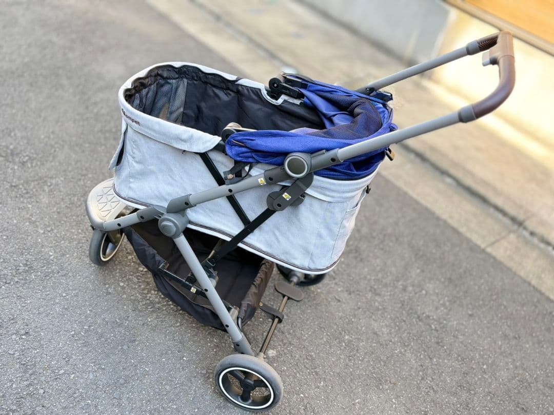 Compet lulutail ルルテイル　カネオヘブルー