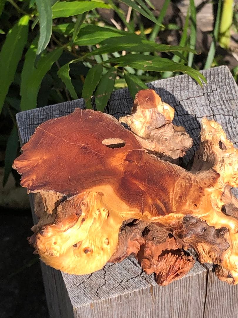 ❤️レア　買い得　50mm 最強財運超　強いパワー　ゴールドルチルクォーツ