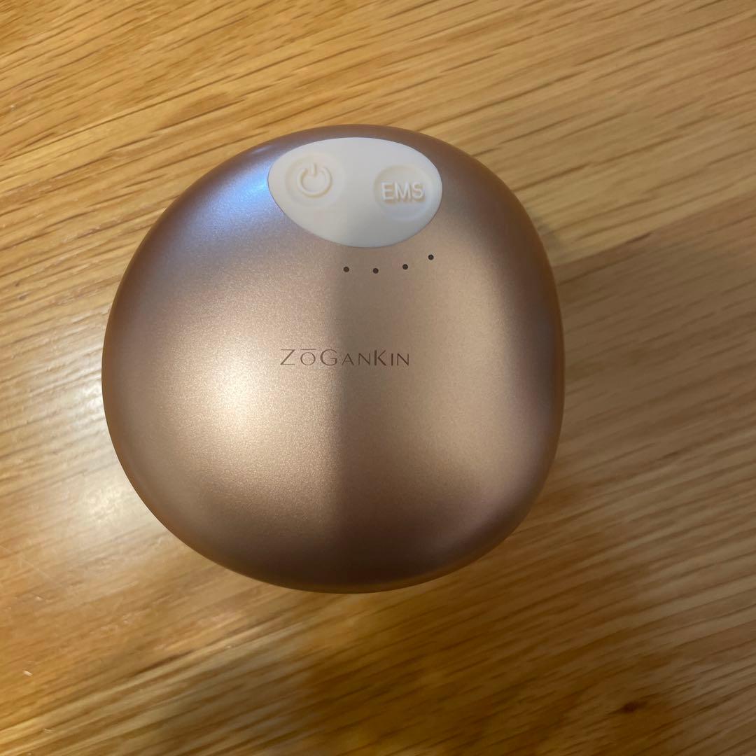 【新品未使用】ZOGANKIN ゾーガンキンスカルプ