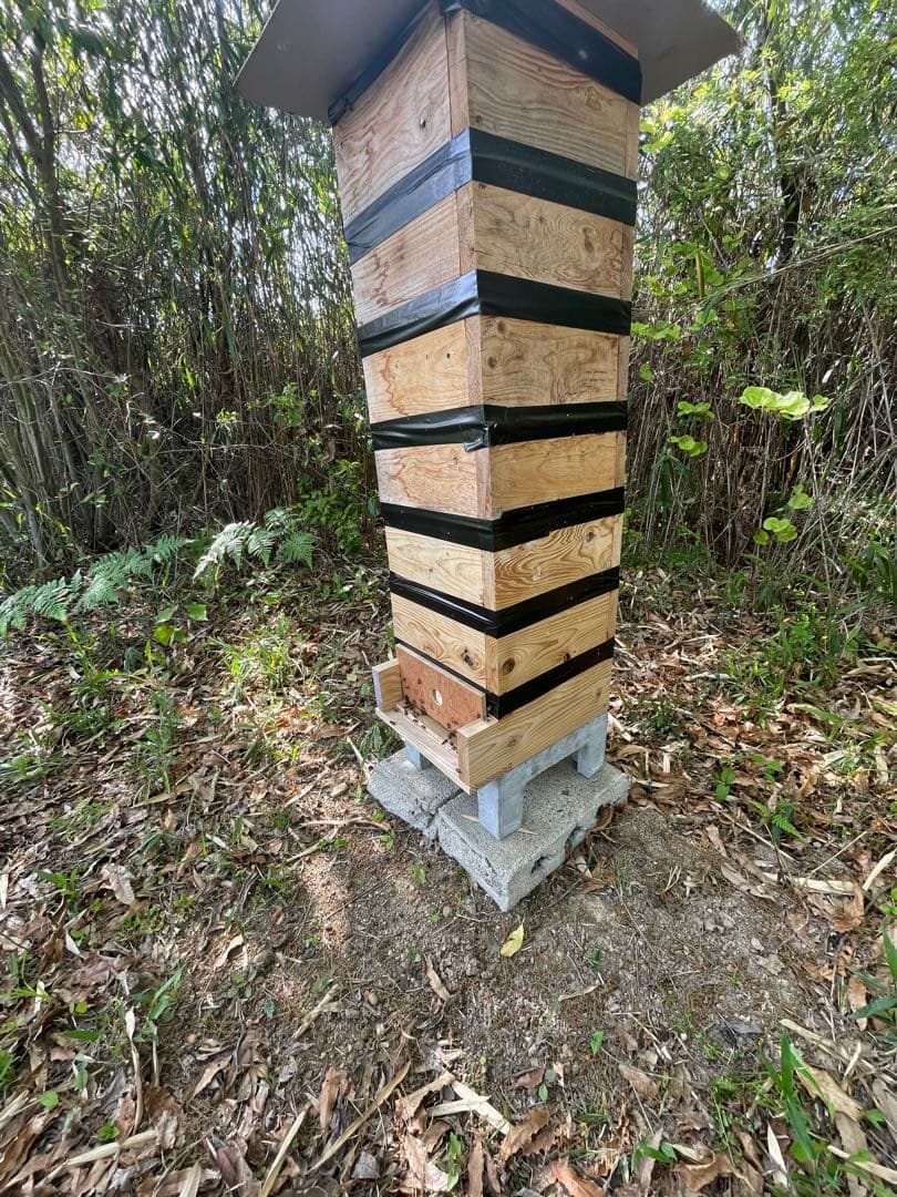 日本蜜蜂重箱式巣箱の継箱三箱！ハニーズハウス用！超訳あり特価！ニセット送料無料！