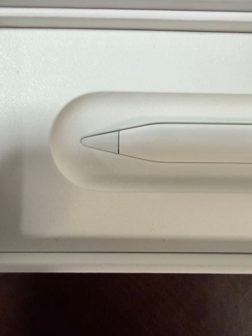 iPadアクセサリー Apple Pencil (USB-C)