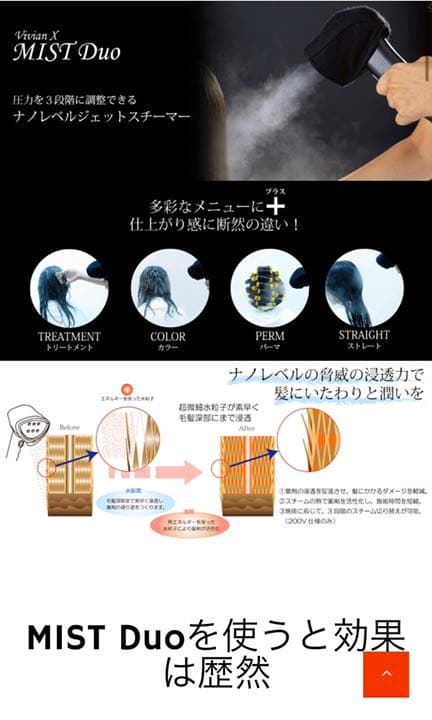 オオヒロ ミストデュオ  mistduo 100