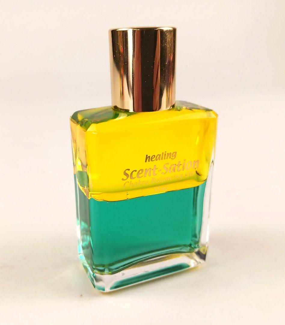 Y3214-2 センセーションビコロール カラーボトル 12本セット 36ml