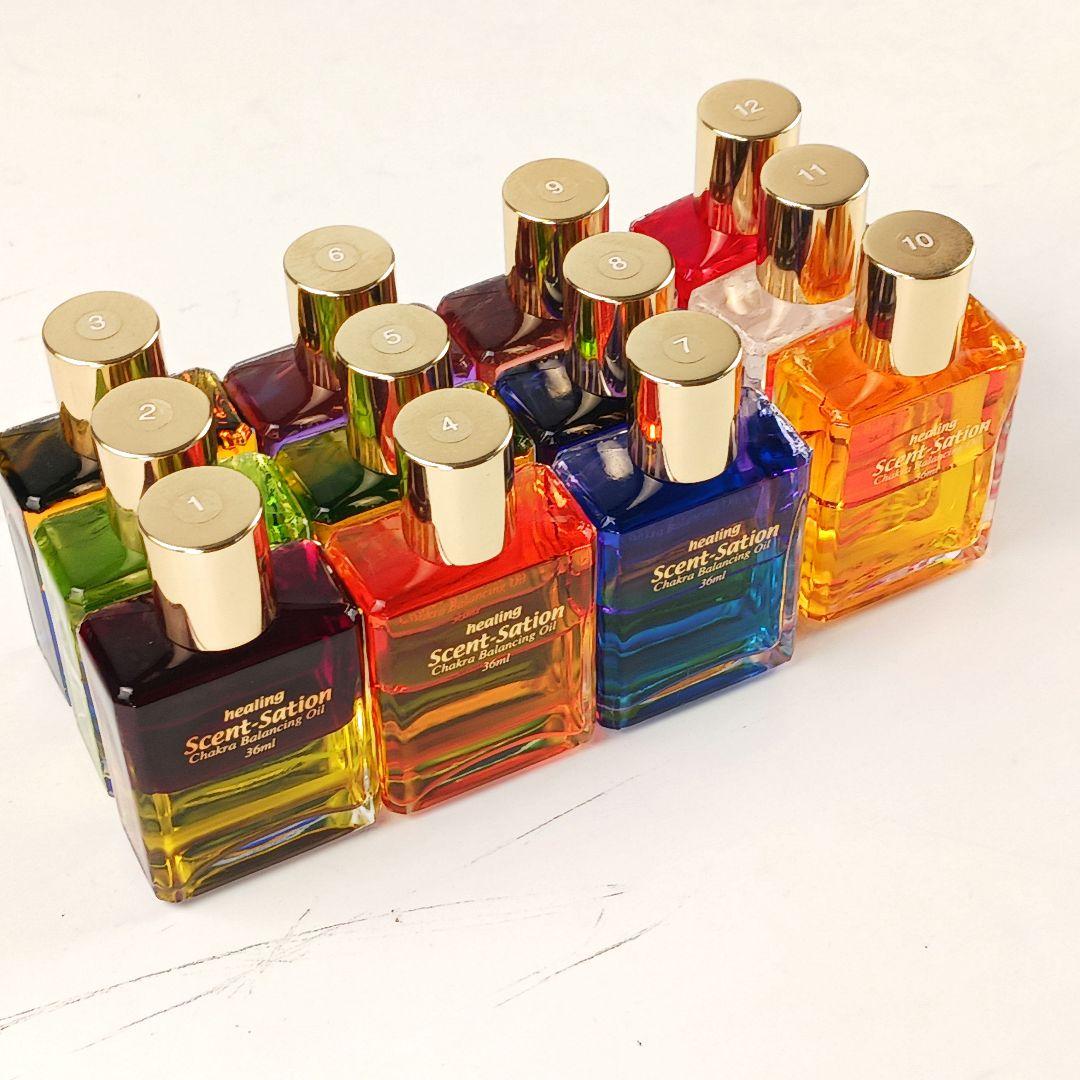 Y3214-2 センセーションビコロール カラーボトル 12本セット 36ml