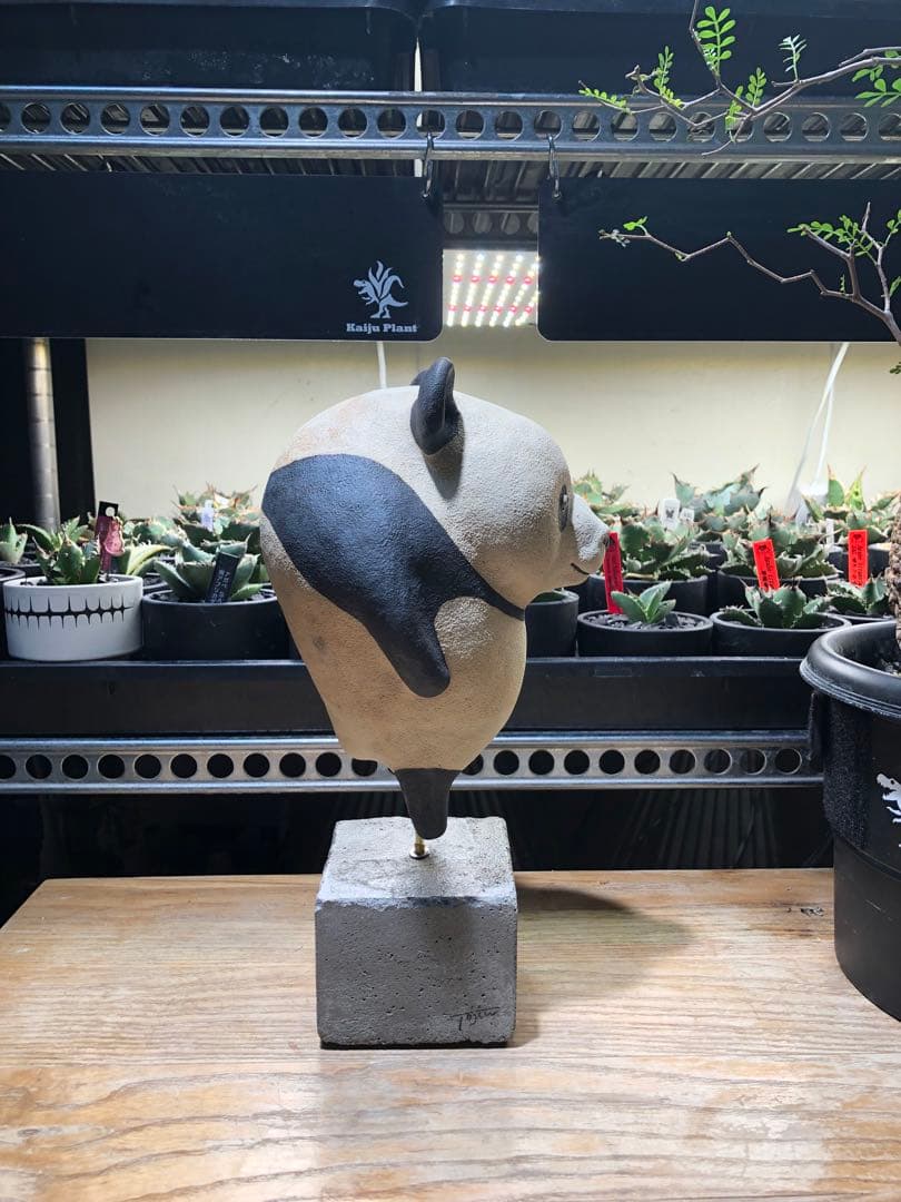 陶仁　パンダ　一点物　置物