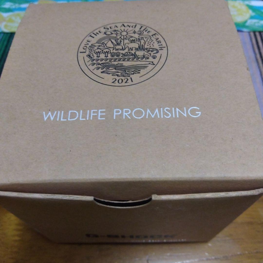 時計 G-SHOCK DW-5600 WILDLIFE PROMISING