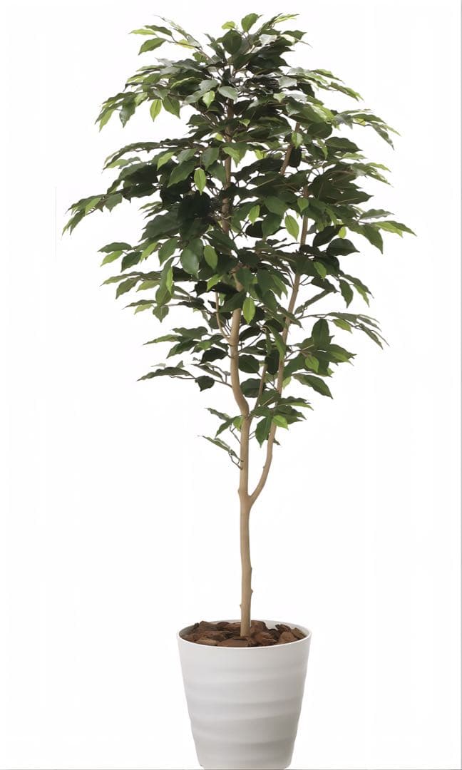 光触媒　人工観葉植物　ウォールグリーン　フェイクグリーン　ベンジャミン16070