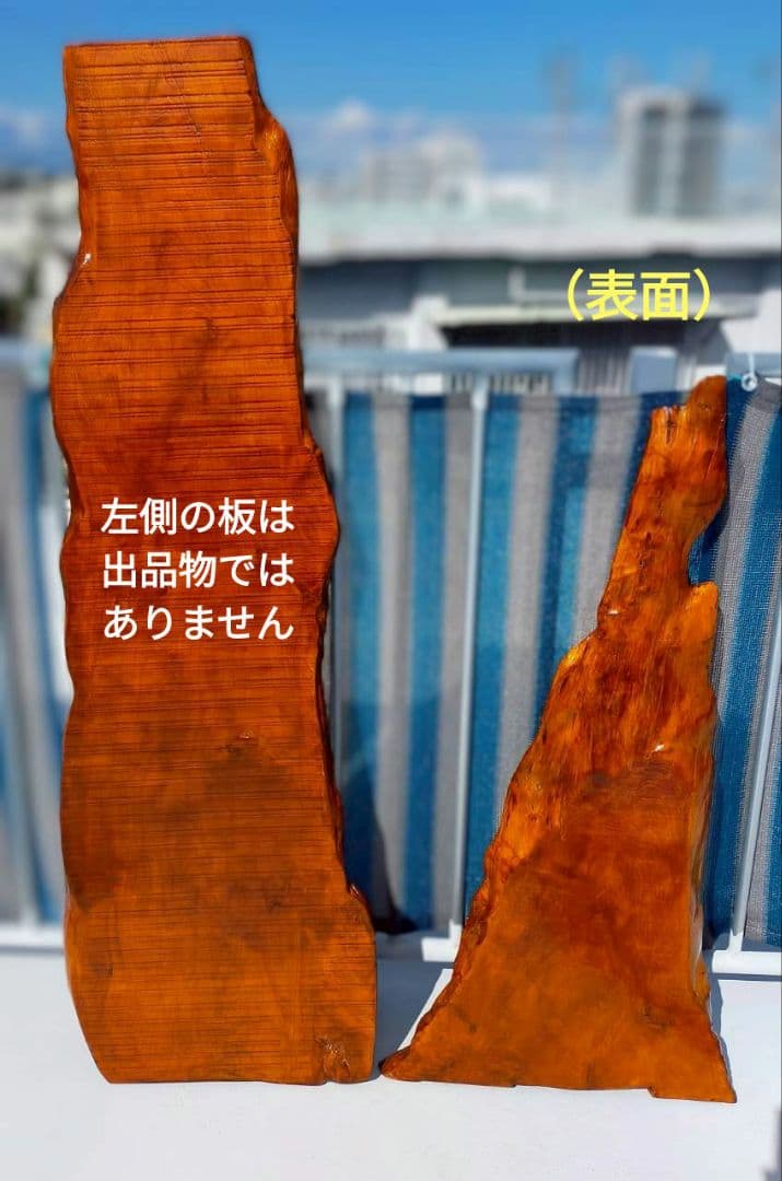 無垢一枚板（鹿児島杉）／天板／研磨＋ニス塗り済／軽量約４kg／テーブル／DIY