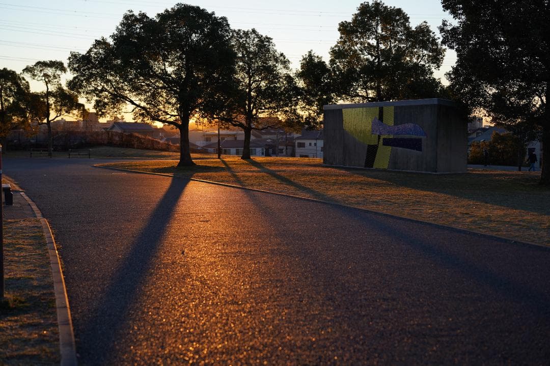 Sony FE 50mm F1.4 ZA レンズ