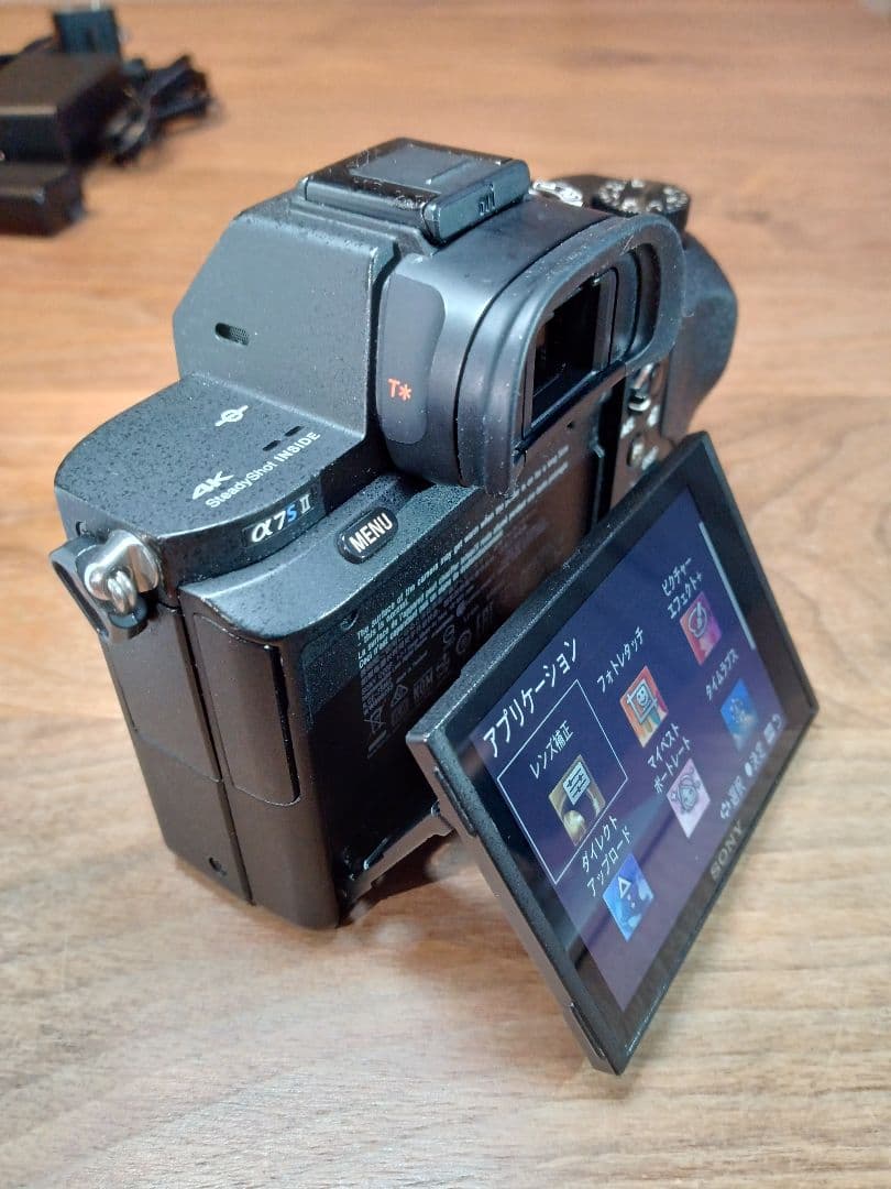 最終価格 S数：2815回【センサー清掃済】SONY ILCE-7SM2 ボディ