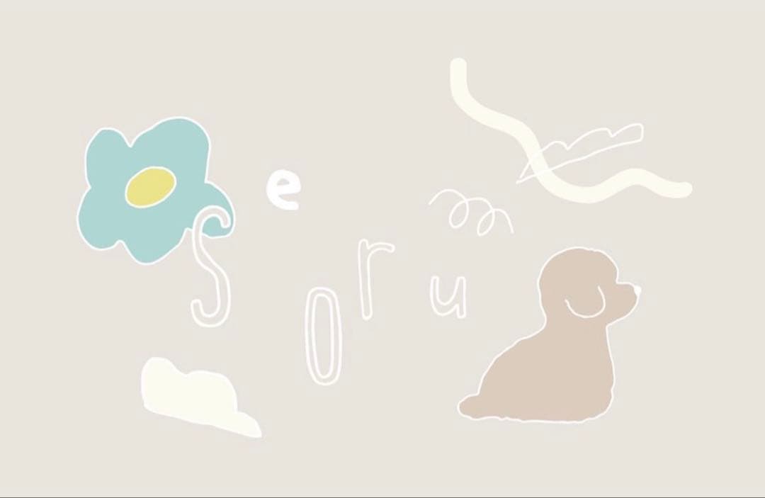 【未使用】seoru スリング M 韓国 キャリーバッグ ペット 犬 猫